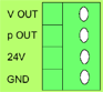 DPT-F1