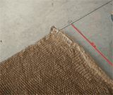 LRR4.gif