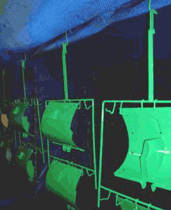 localhost—boothguard02.gif