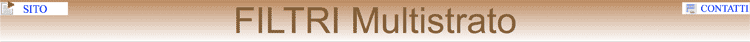 T_1FMs.gif